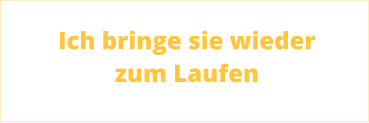 Ich bringe sie wieder zum Laufen