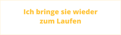 Ich bringe sie wieder zum Laufen